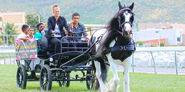 Horse carriage ride in the north of mauritius (3)